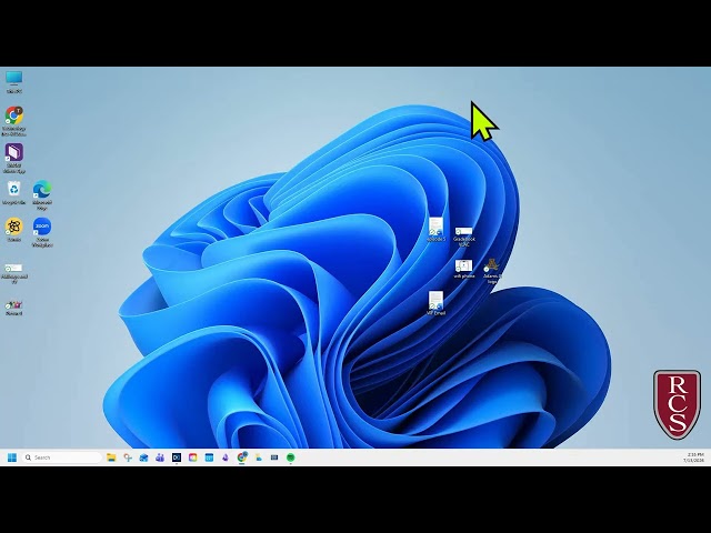 Windows 11 Mouse Pointer