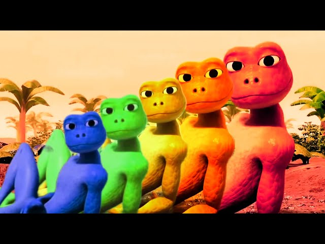 Patila Frog Rainbow Dance | Patila Frog Dance |