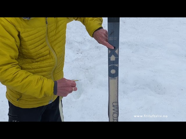 Fjellski med kortfellsystem