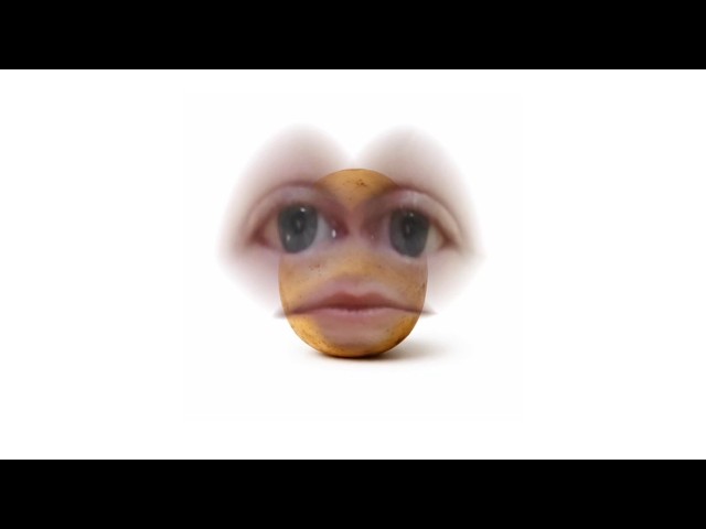 TBS - POTATO (Potato)