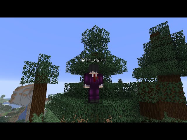 Playing Donut SMP Live
