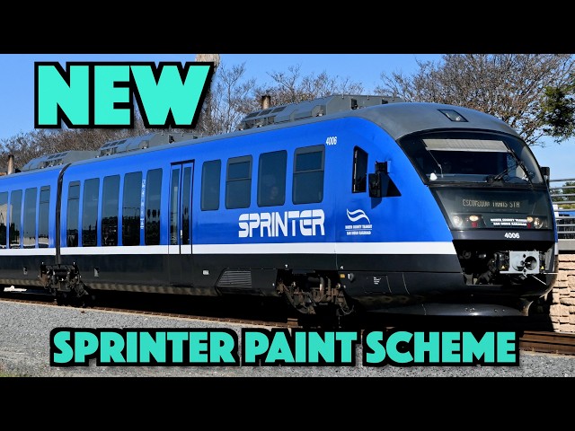 NEW Sprinter Train Paint Scheme