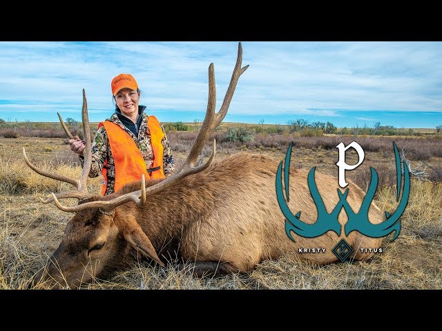 Colorado Elk Hunting with Kristy Titus