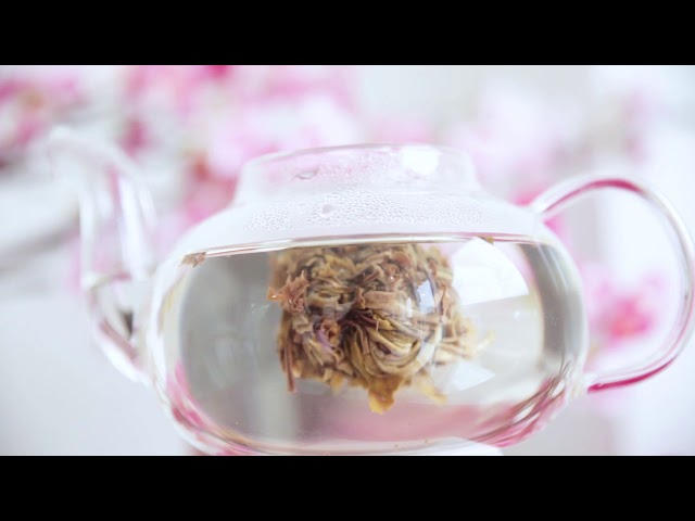 BloomThis x The Tea Republic | Longevitea Blooming Tea