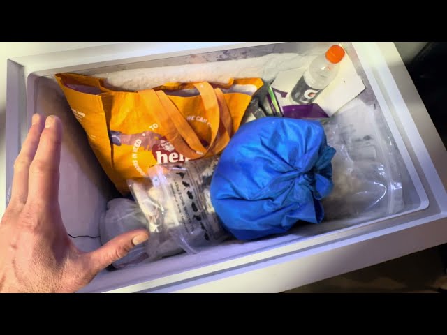 The MORT FREEZER:  tips and tricks for maintain frozen feeder safety for Ball pythons and boas...