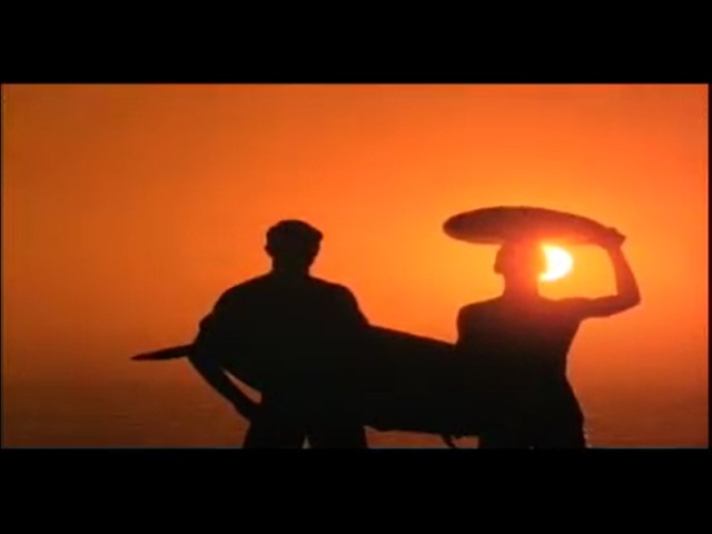 The Endless Summer (1966)