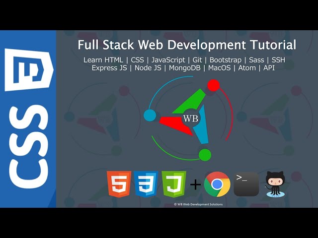 14. Combinators in CSS - Full stack web development Tutorial Course