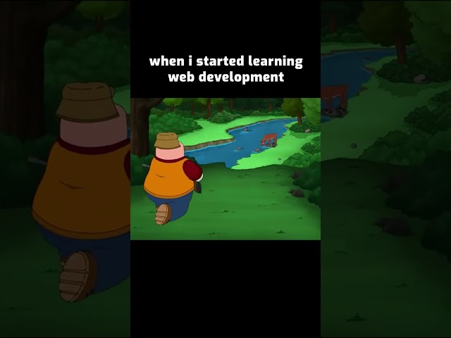 learning frontend development