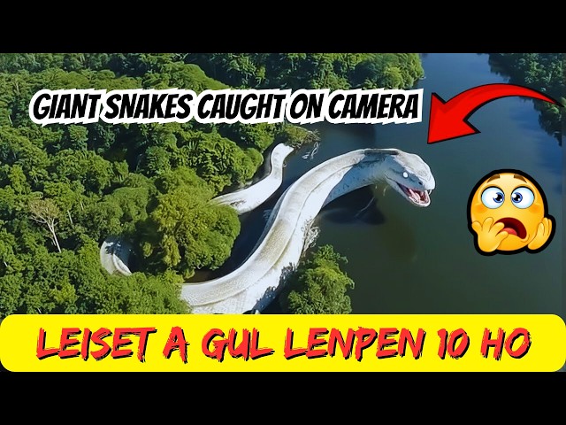 Vannoiya Gul lenpen 10 ho 🐍😱 | 10 Biggest Snakes Ever Discovered in the World |