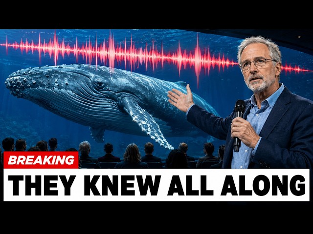 Scientists Used AI to Decode Whale Language — What They Found Was Unexpected