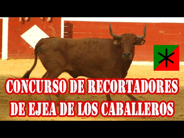 ⭕👌🏻🐂 CONCURSO DE RECORTADORES DE EJEA DE LOS CABALLEROS - AGOSTO 2011