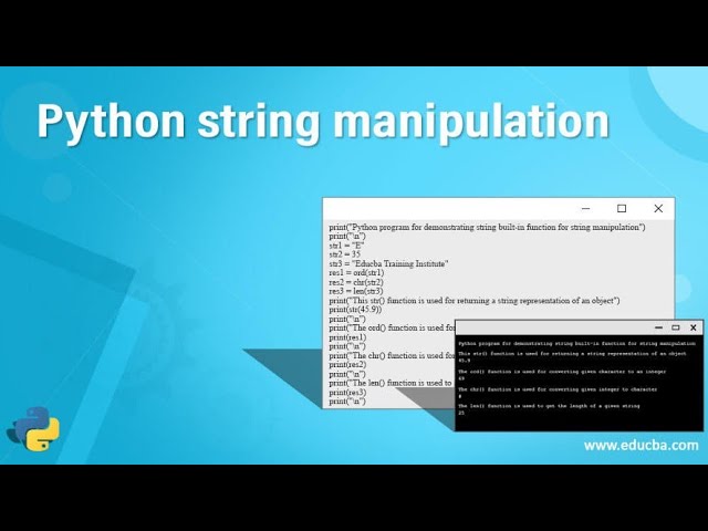 string, capitalism, and more interview questions in python