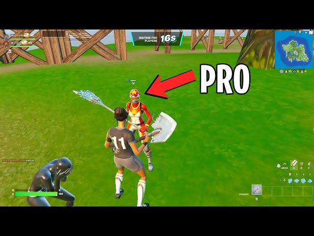 My Random Duo Was a Pro Player 😲