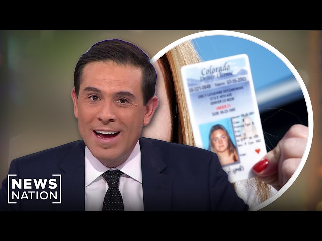 Millions of driver's licenses exposed on the dark web