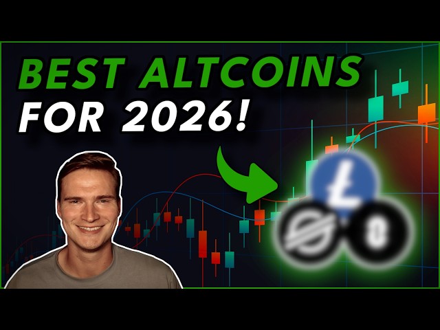 BEST ALTCOINS TO BUY IN THE BEARMARKET!🔥 (And Why!)