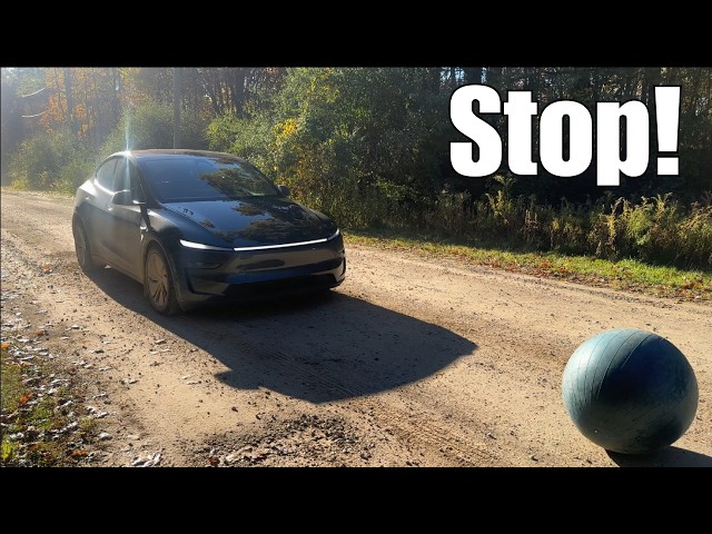 Can Tesla Self Driving V14 Dodge These Objects??
