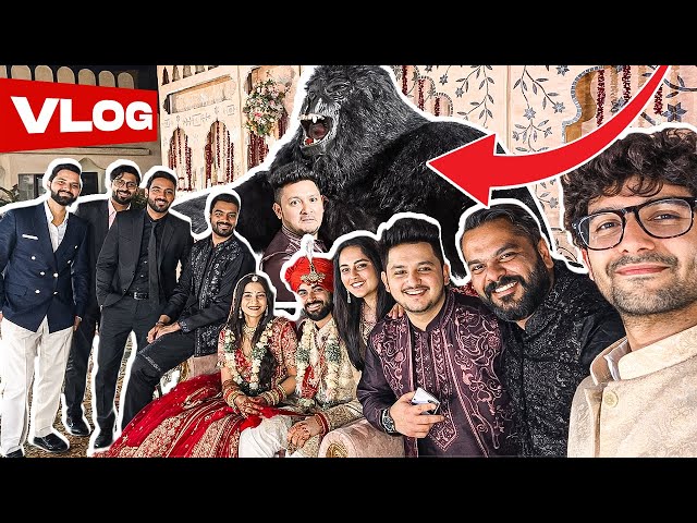 Indian Wedding got wild… Danced and hugged the viral gorilla #vlog