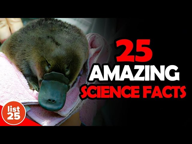 25 Amazing Science Facts That Are Weird, Wild, and True