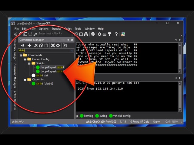 SecureCRT's Command Manager