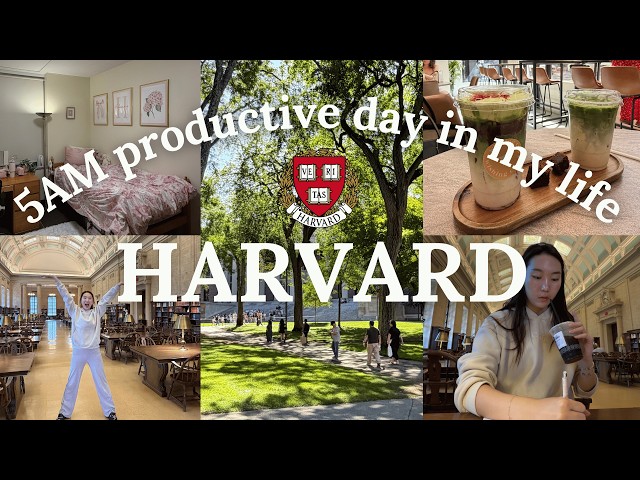 5AM HARVARD PRODUCTIVE DAYS IN MY LIFE 🍵 study motivation, dorm setup, early morning routine