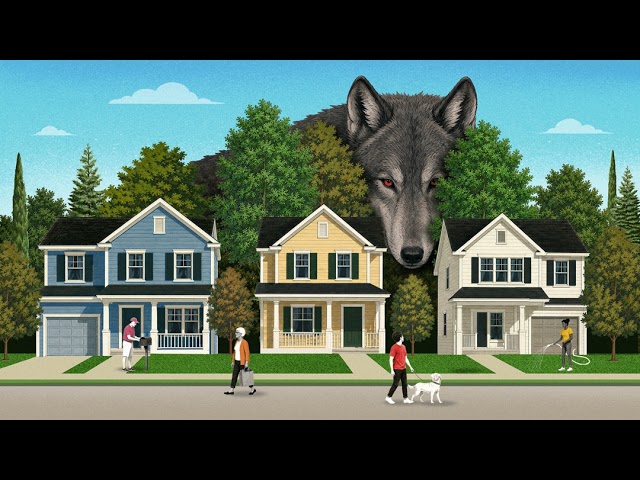 I Couldn't Help but Notice | This American Life | Episode 894
