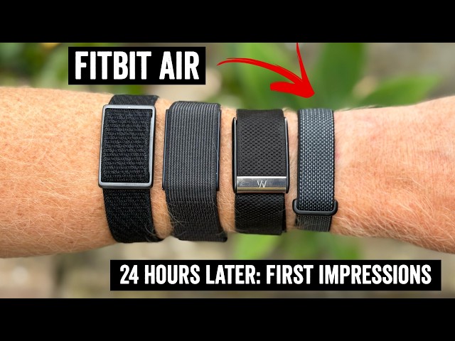 Fitbit Air: 24 Hours Later