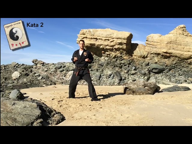Traditional Shaolin Kempo Karate Kata 2 Form Breakdown | Laguna Beach Dojo Archive (est. 2015)