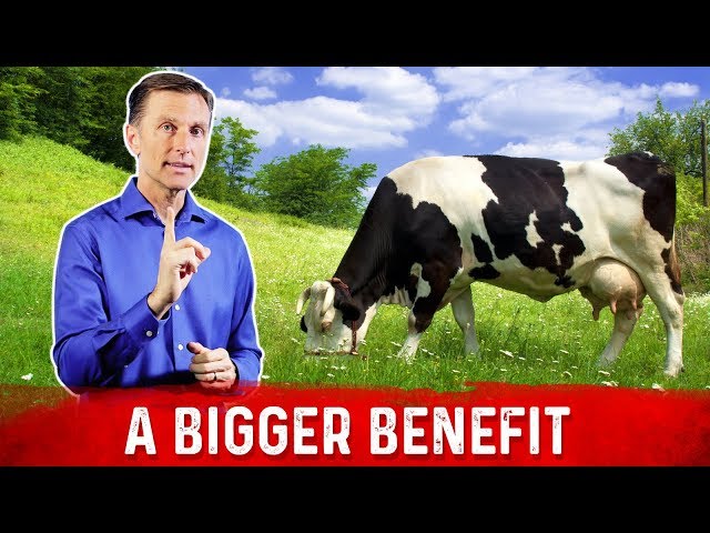 Benefits of Grass-Fed Products Go Beyond Just Omega-3 Fatty Acids – Dr. Berg