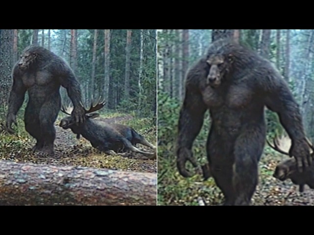 Game Wardens Reveal the Terrifying New Cryptid That Hunts Dogmen in Michigan