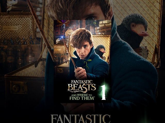 Fantastic Beasts and Where to Find Them