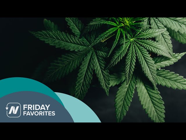 Friday Favorites: Cannabis for Inflammatory Bowel Disease (IBD)