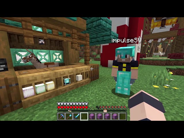 Hermitcraft S11#3: Wither Storage Doodads