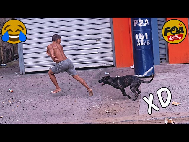 VIDEOS DE RISA 🤣 SI TE RÍES PIERDES NIVEL DIOS #43 😎HUMOR VIRAL MEXICANO🤣