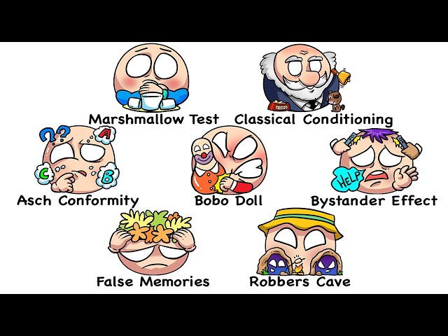 Every Psychological Experiment in 18 Minutes