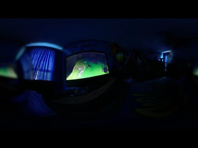 Breath of the wild