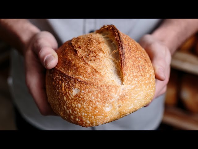 Small Batch Sourdough — Only ONE CUP of Flour!