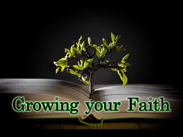 Growing Your Faith 24/7: More Channels at FaithNFreedom.TV