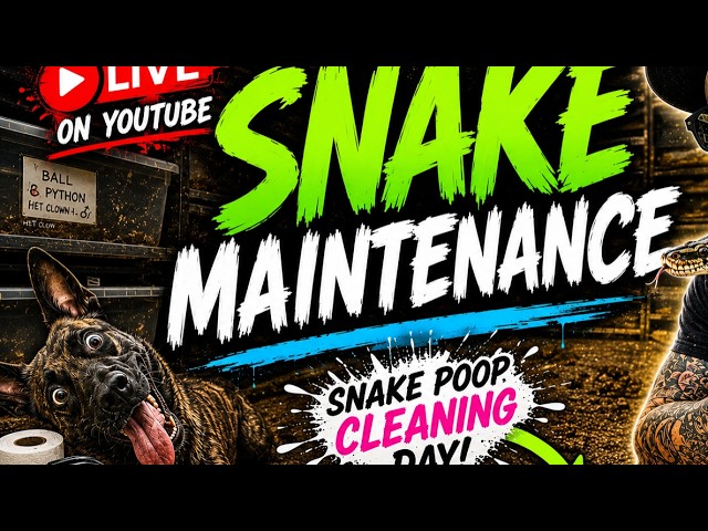 Snake maintenance