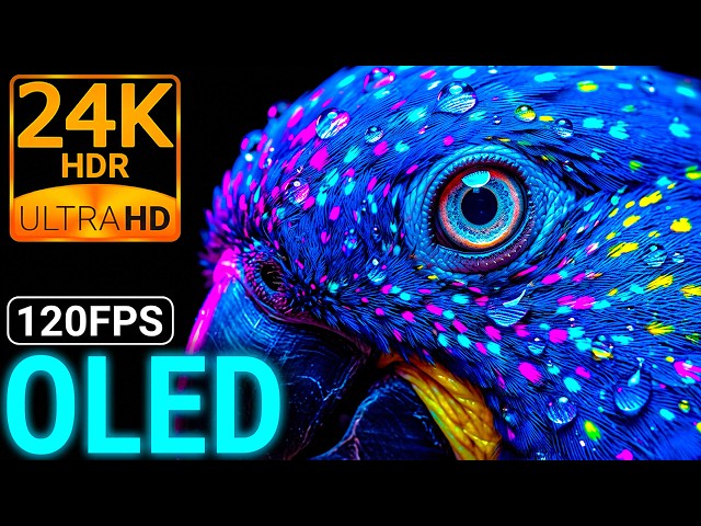 Breathtaking Wild Nature 24K HDR 120FPS Dolby Vision OLED Test 8K/4K