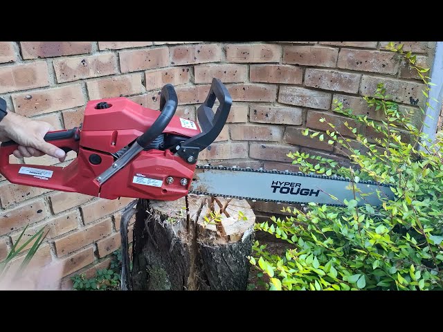 Every Chainsaw owner the first day...