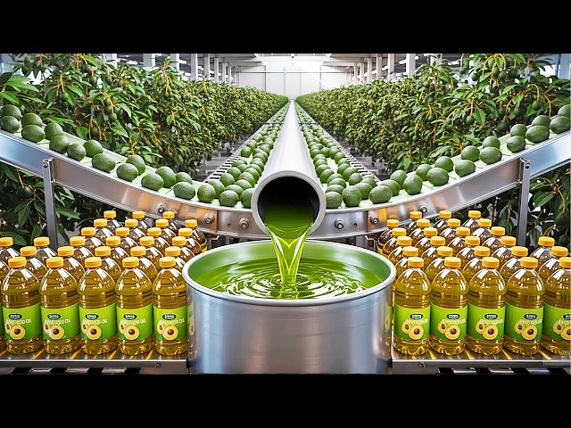 How Avocado Oil Is Made 🥑 (Full Factory Process)