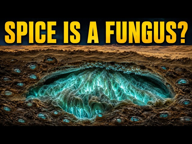 Real World Inspirations for Dune's Spice: Frank Herbert Got The Pharmacology Right | Sleep Story