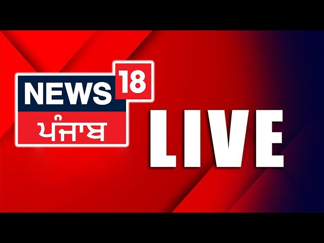 LIVE | News 24x7 |Today Punjabi News | Latest News | Kewal Dhillon | Majithia |CM Mann | News18