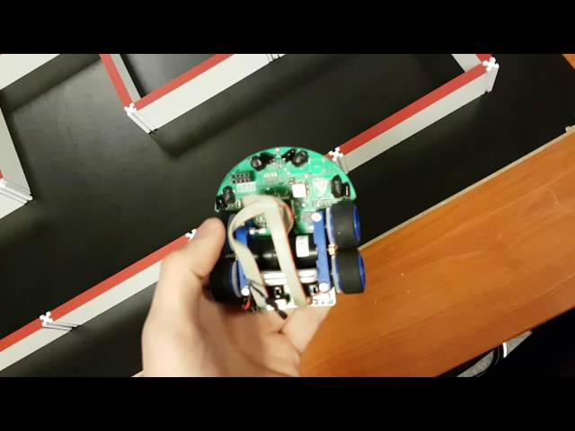 Micromouse "Dendryt"