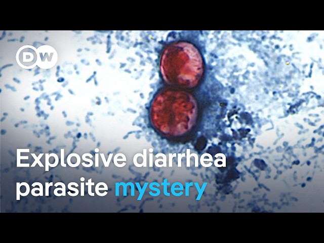 Why is the cyclospora diarrhea parasite spreading so quickly across the US? | DW News