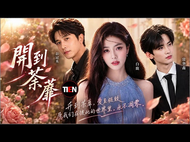 After the Bloom《開到荼蘼》- Bai Lu白鹿 & Peng Guan Ying彭冠英 & Chang Hua Sen常華森 #BAILU #AftertheBloom