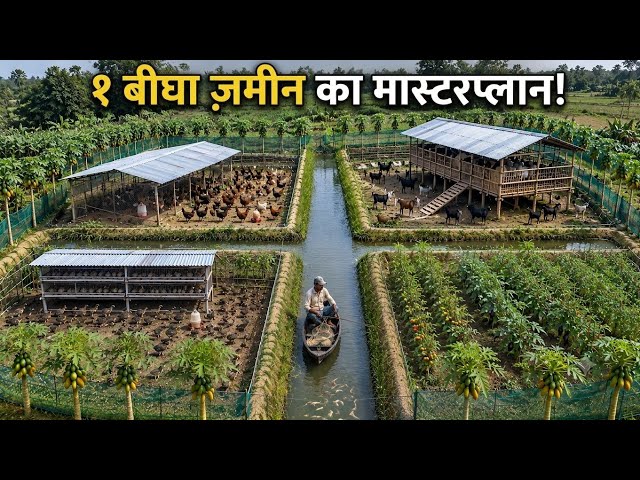 1 बीघा ज़मीन का मास्टर प्लान | Integrated Farming