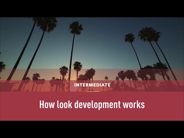 Colourlab Tutorial No3 - How look development works
