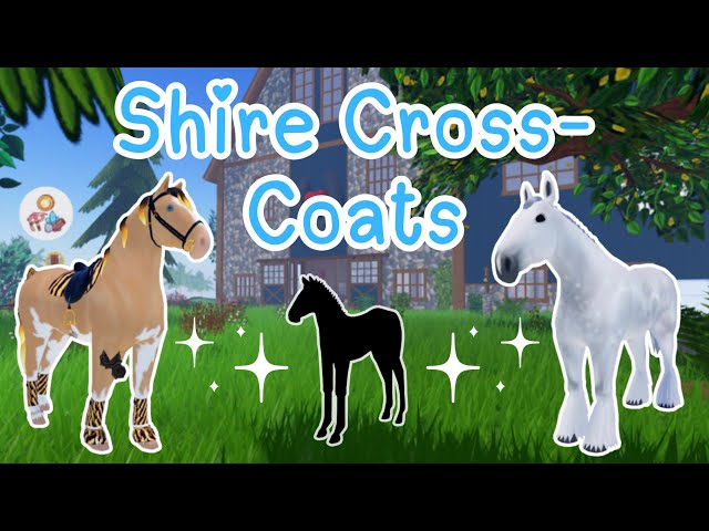 Breeding SHIRE Cross-Coats! | Wild Horse Islands
