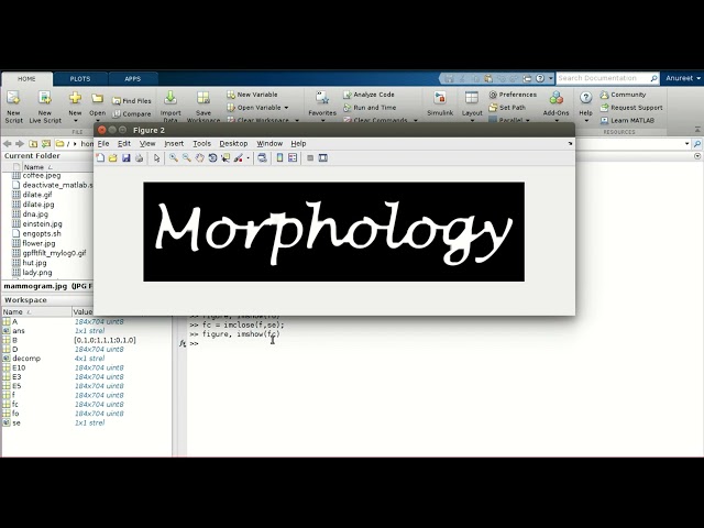 20 morphological image processing